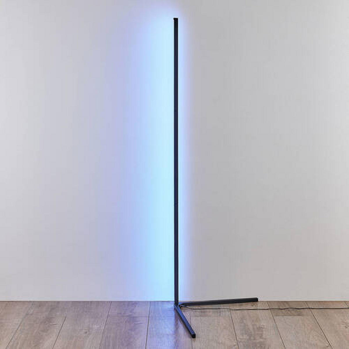 LED STOJACÍ LAMPA, 43/141 cm  - černá, Trend, kov (43/141cm)