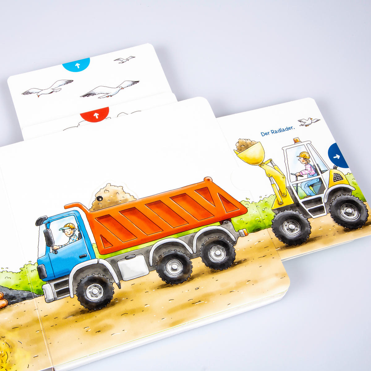 BUCH - Basics (18,2/18,2/2,6cm) - Carlsen