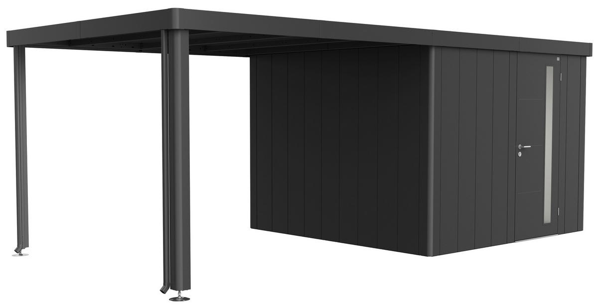 SEITENDACH 300/220/291 cm  - Anthrazit, Basics, Metall (300/220/291cm) - Biohort