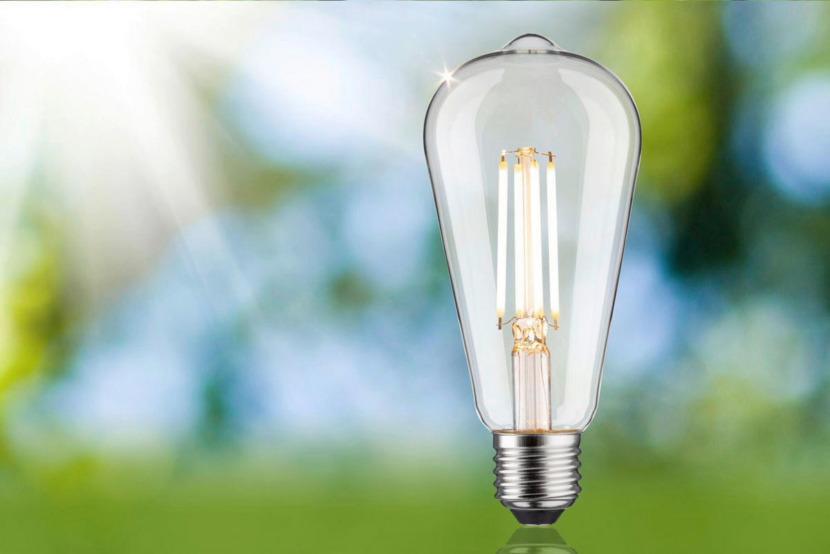 ENERGIESPAR-LEUCHTMITTEL - Klar, Basics, Glas (6,4/14,3cm) - Paulmann