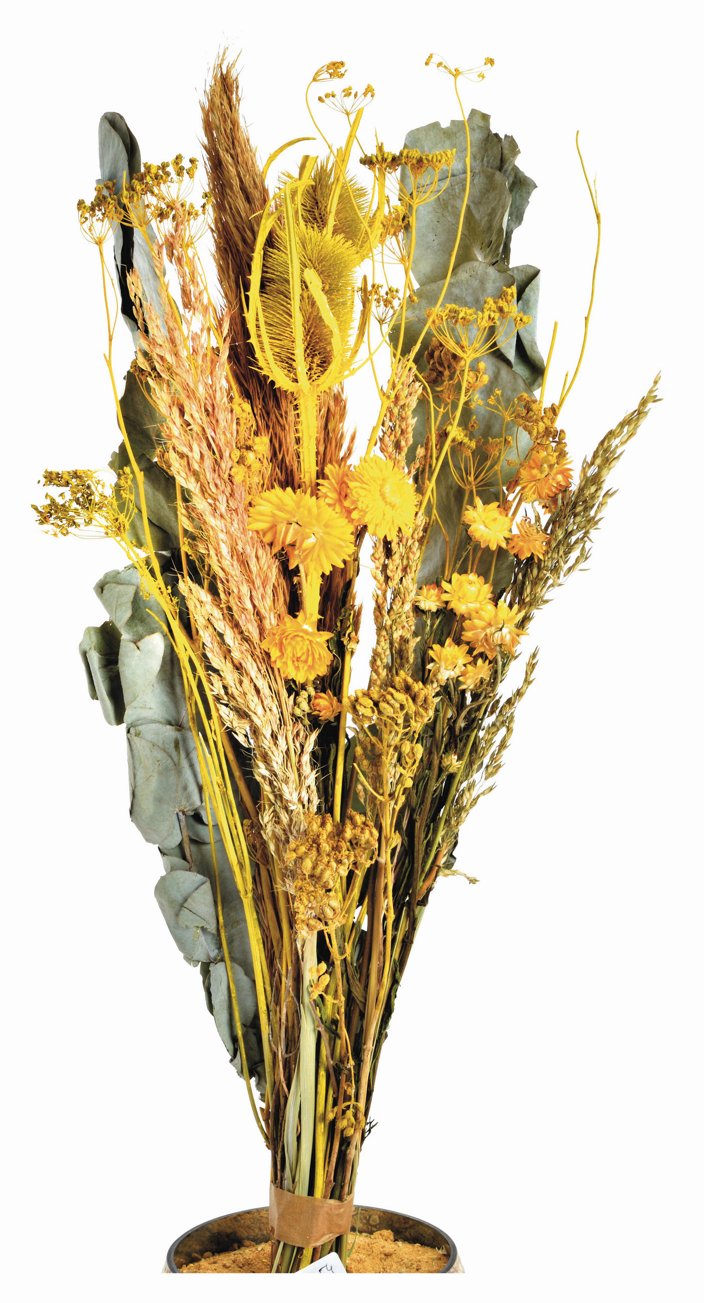 TROCKENBLUMENSTRAUSS  - Gelb/Orange, Basics, Naturmaterialien (55cm)