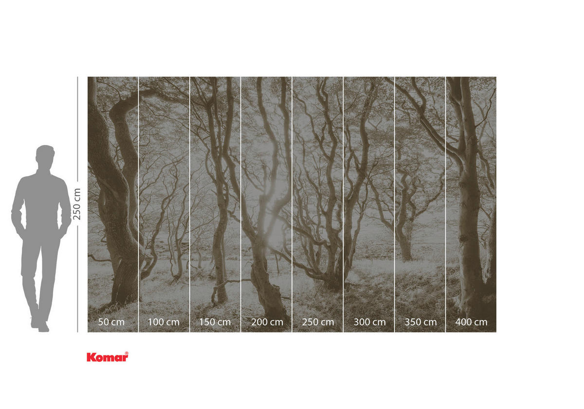 VLIESTAPETE - Braun/Weiß, Basics (400/250cm) - Komar