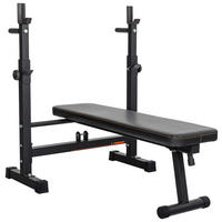 LANGHANTELBANK HB900  - KONVENTIONELL, Kunststoff/Metall (119/89,4/109cm)
