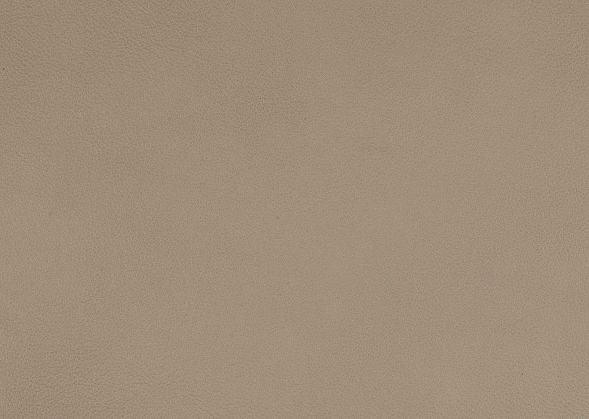 ECKSOFA in Echtleder Hellbraun  - Hellbraun/Schwarz, Design, Leder/Metall (334/176cm) - Dieter Knoll