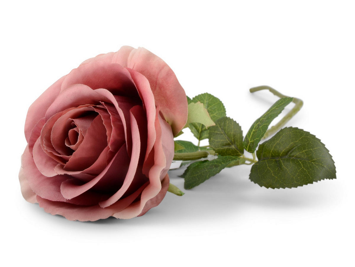 ROS - grön/mörkrosa, Basics, plast (57cm) - Best Price