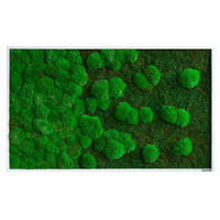 MOOSBILD Stylegreen  - Weiß/Grün, Basics, Naturmaterialien/Holz (100/60/7cm)