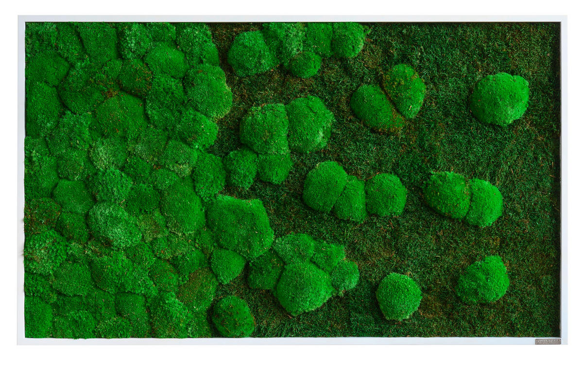MOOSBILD Stylegreen  - Weiß/Grün, Basics, Naturmaterialien/Holz (100/60/7cm)