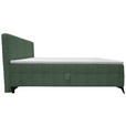 BOXBETT 140/200 cm  in Grün  - Schwarz/Grün, Design, Holz/Holzwerkstoff (140/200cm) - Xora