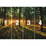 FOTOTAPETE - Grün, Natur, Papier (368/254cm) - Reinders Next FOTOTAPETE - Grün, Natur, Papier (368/254cm) - Reinders Next