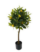 MŰNÖVÉNY - fekete/zöld, Basics, műanyag