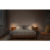 LED-PENDELLEUCHTE 12/150 cm   - KONVENTIONELL, Metall (12/150cm) - Ledvance