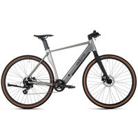 ELEKTROFAHRRAD - Silberfarben, Basics, Metall (180/70/100cm) - Atrigo