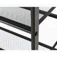 SCHUHREGAL 72/102,5/30 cm  - Schwarz, Basics, Kunststoff/Metall (72/102,5/30cm) - Xora