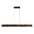 LED-HÄNGELEUCHTE Oxira 110/7/120 cm  - Multicolor/Schwarz, Design, Kunststoff/Metall (110/7/120cm) - Dieter Knoll