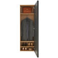 GARDEROBENSCHRANK  in 54/170/31 cm  - Eichefarben/Anthrazit, Design, Glas/Holz (54/170/31cm) - Dieter Knoll