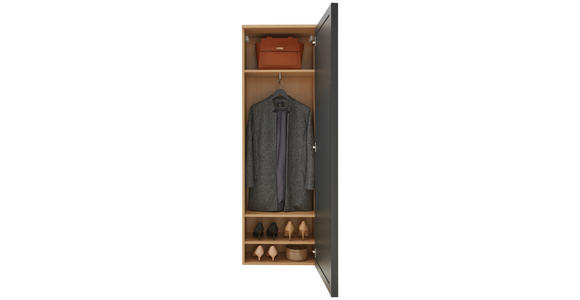GARDEROBENSCHRANK  in 54/170/31 cm  - Eichefarben/Anthrazit, Design, Glas/Holz (54/170/31cm) - Dieter Knoll