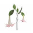 KUNSTBLUME - Braun/Rosa, Basics, Kunststoff/Textil (95cm) KUNSTBLUME - Braun/Rosa, Basics, Kunststoff/Textil (95cm)