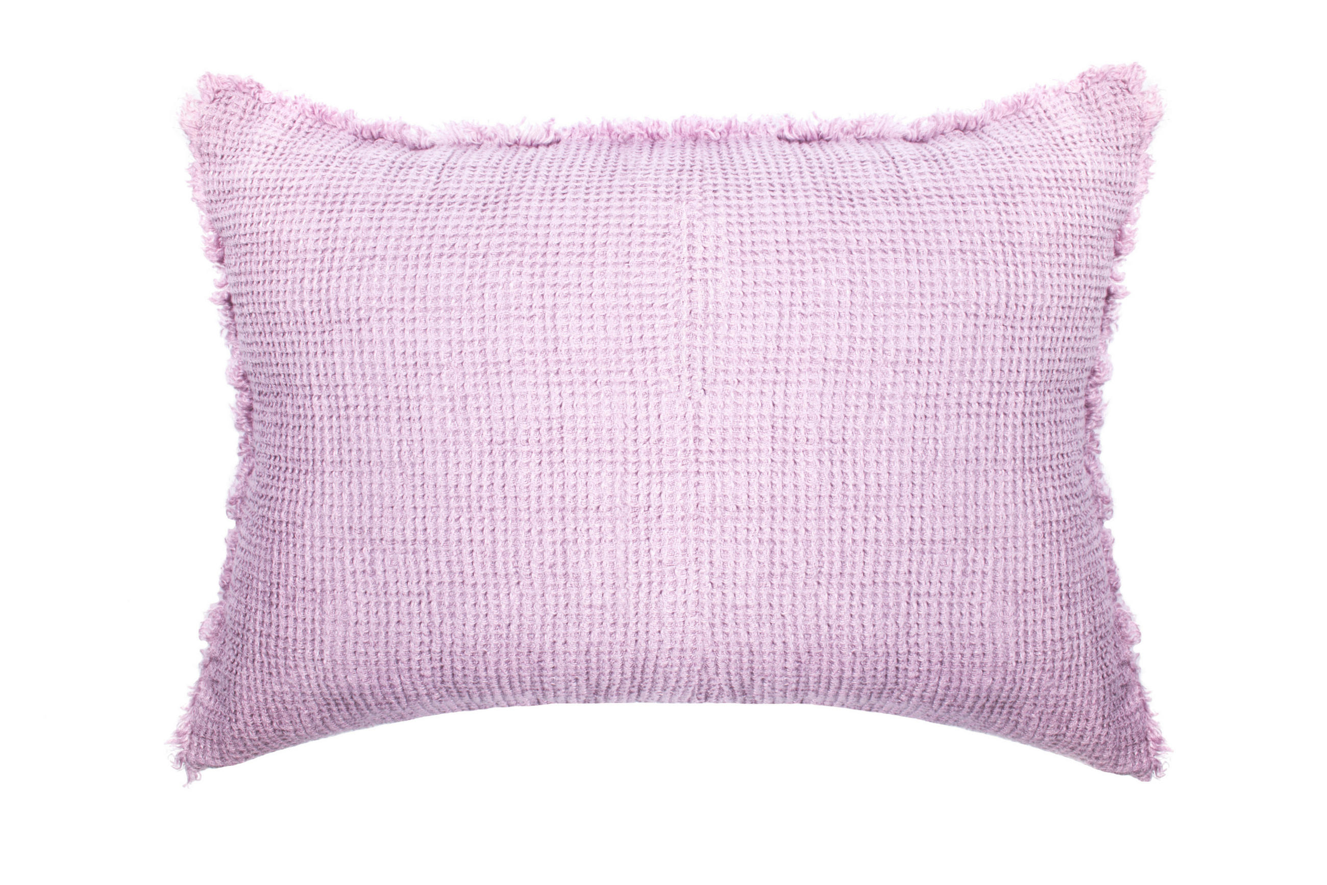 KISSENHÜLLE Honeybee 40/60 cm  - Violett, Basics, Textil (40/60cm) - Zoeppritz