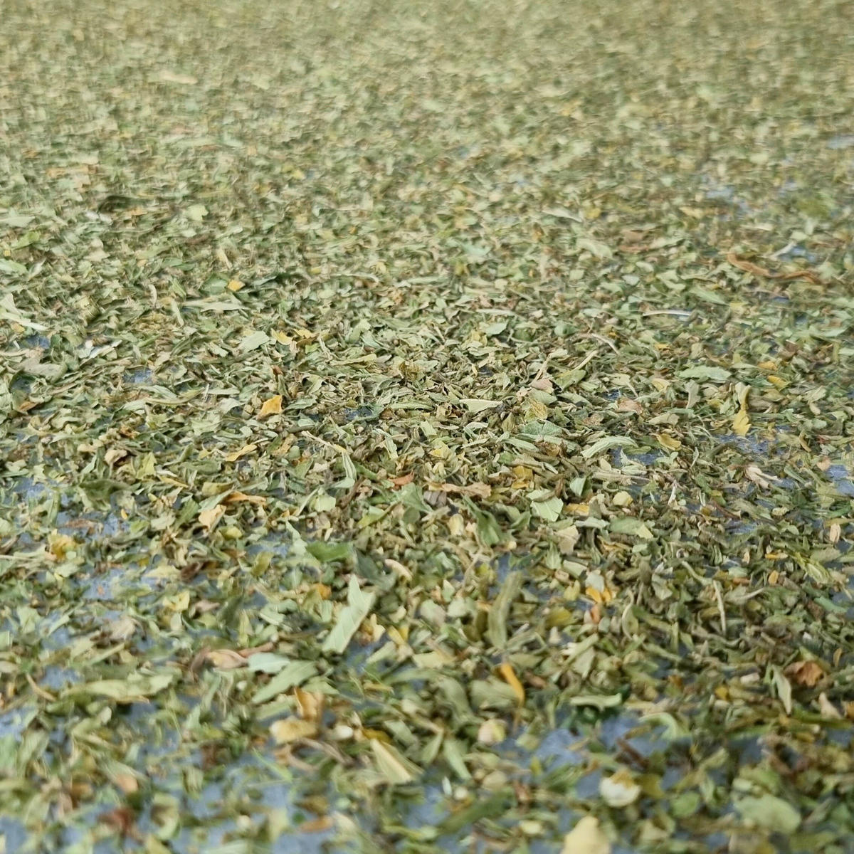 MATRATZENAUFLAGE    - Textil (200/100/3cm)