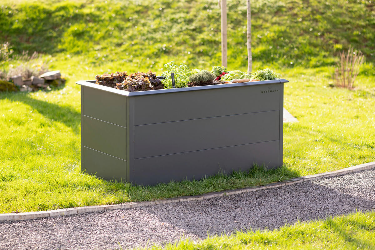 HOCHBEET Primus  - Anthrazit, KONVENTIONELL, Metall (75/150/77cm) - Ambia Garden