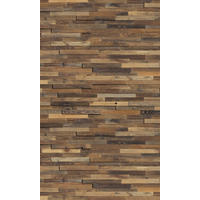VLIESTAPETE - Braun, Basics (150/250cm) - Komar