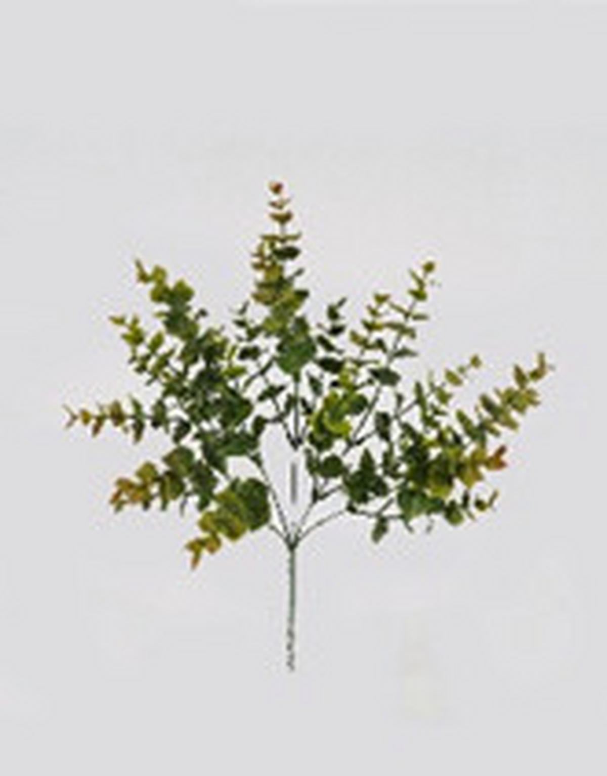 MŰNÖVÉNY - zöld, Basics, műanyag