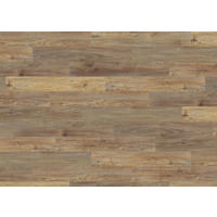 DESIGNBODEN PowerStar Eiche Asturia caramel  per  m² - Karamell, Basics, Holzwerkstoff (19.3/128.2cm) - Living by HARO