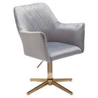 ŽIDLE S PODRUČKAMI, samet, světle šedá - světle šedá/barvy zlata, Moderní, kov/textil (55/97/55cm) - MID.YOU