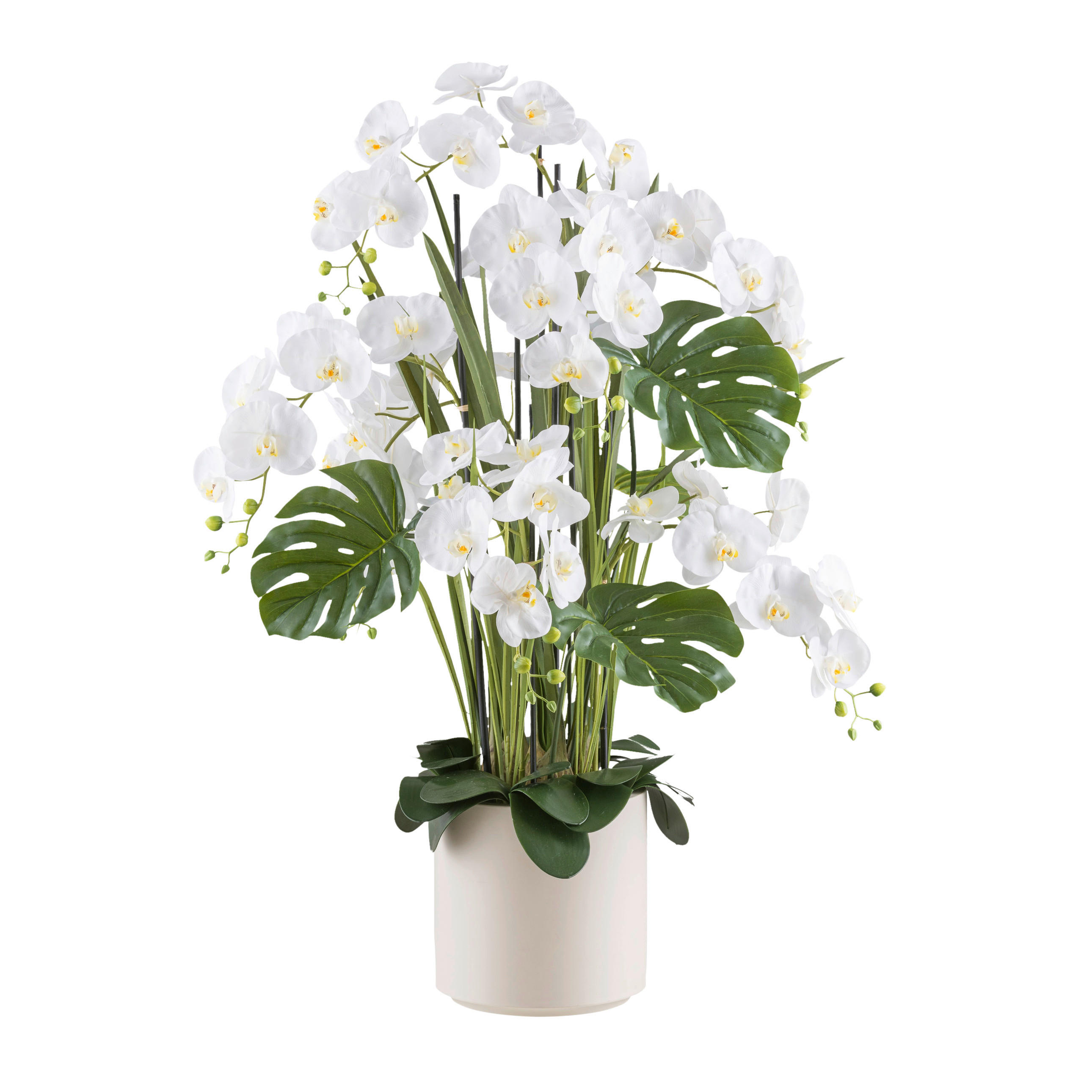 KUNSTPFLANZE Orchidee 120 cm - Creme/Weiß, Design, Kunststoff (120cm) - P & B