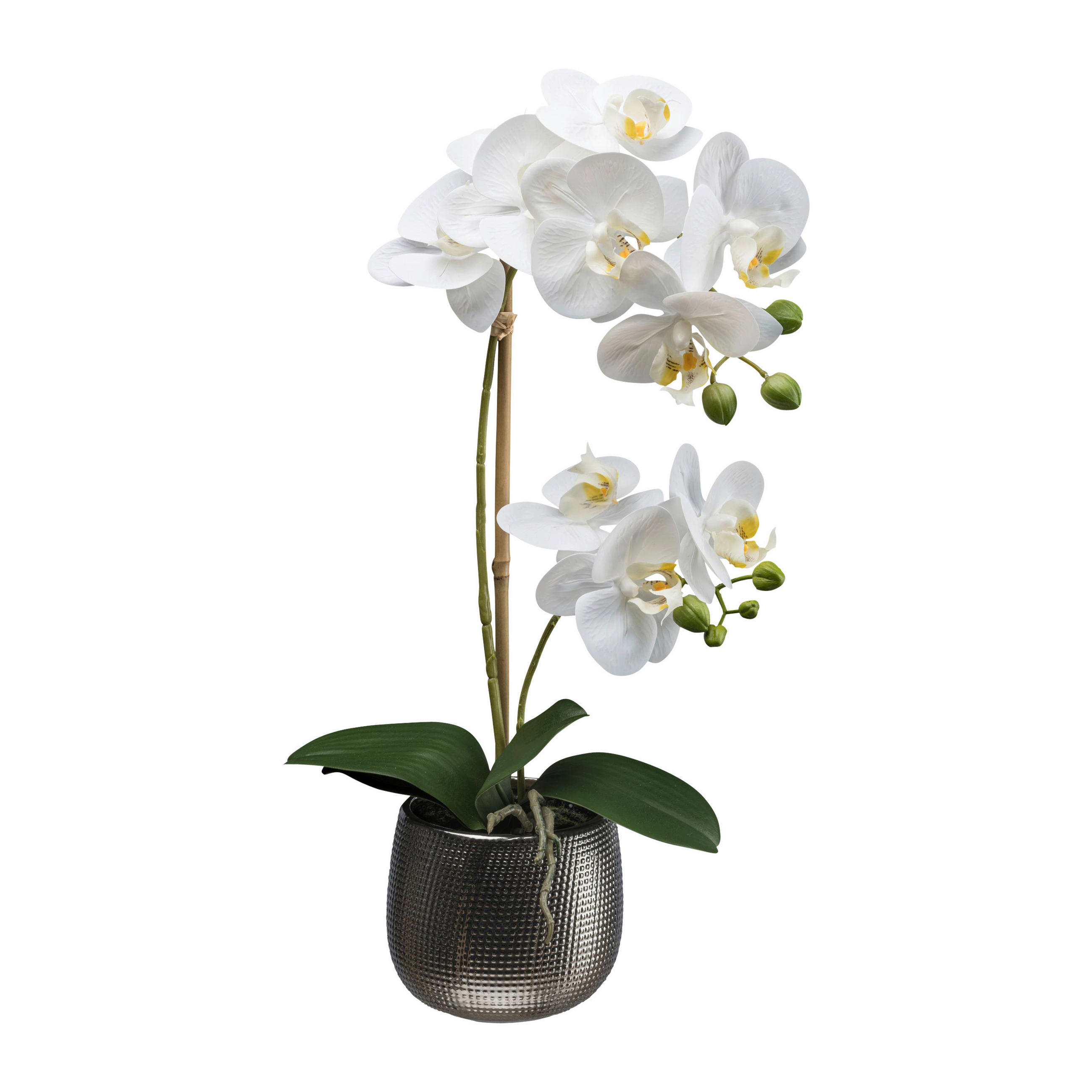 KUNSTPFLANZE Orchidee 48 cm  - Dunkelgrau/Weiß, Design, Keramik/Kunststoff (48cm) - P & B