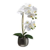 KUNSTPFLANZE Orchidee 48 cm  - Dunkelgrau/Weiß, Design, Keramik/Kunststoff (48cm) - P & B