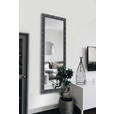 WANDSPIEGEL 50/150/3,5 cm  - Silberfarben/Schwarz, Trend, Glas/Holz (50/150/3,5cm) - Boxxx