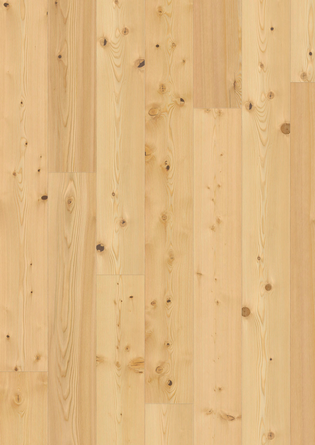 LANDHAUSDIELE RUSTICO Lärche Natur!Pur 100069201  per  m² - Lärchefarben, Design, Holz (241,5/18,2/1,3cm) - Tilo