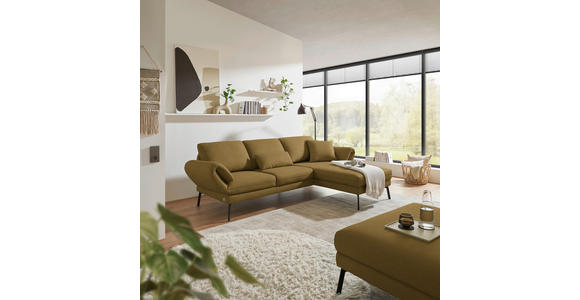 ECKSOFA  in Flachgewebe Schilfgrün  255-365/175-224 cm  - Schilfgrün/Schwarz, Design, Textil/Metall (255-365/175-224cm) - Dieter Knoll