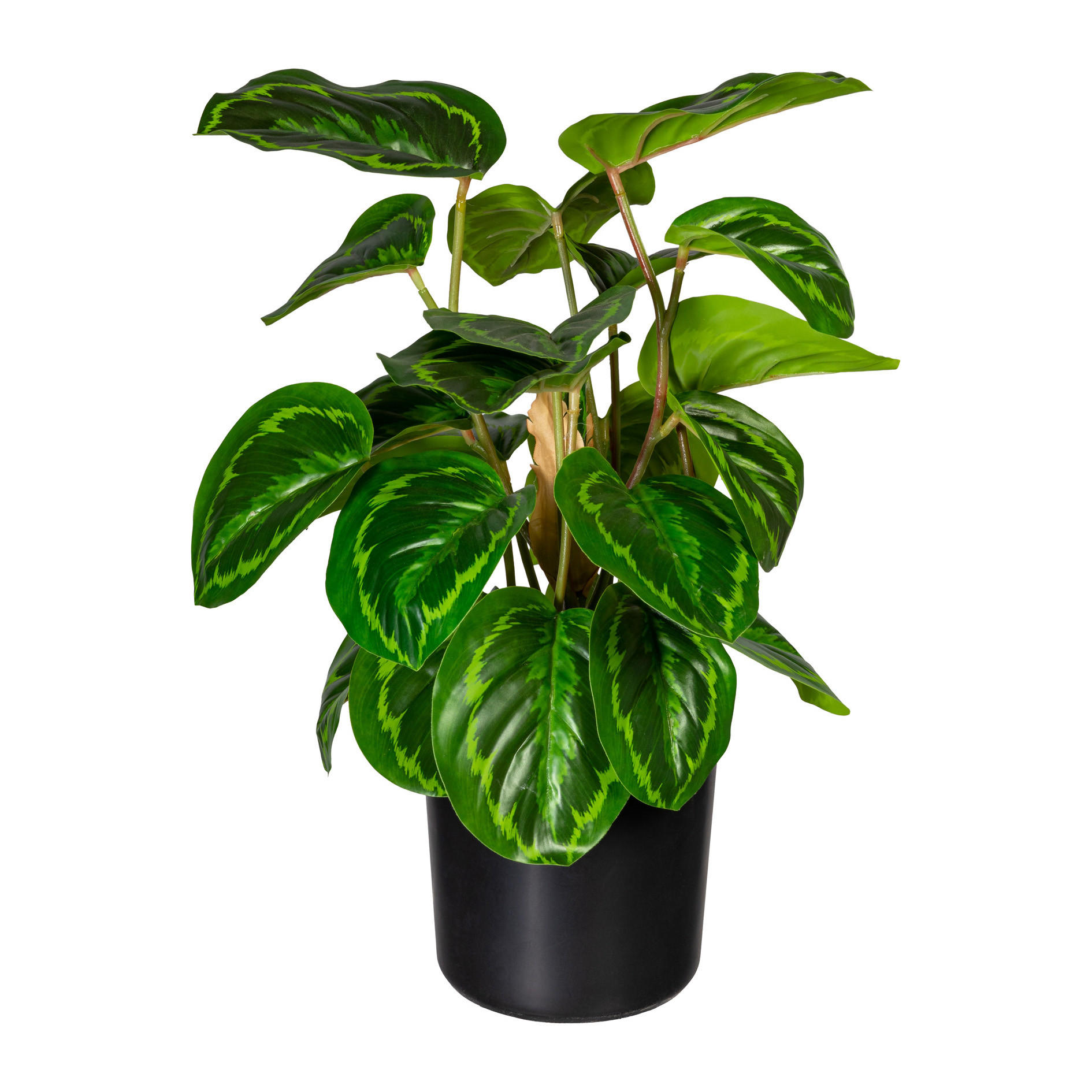 KUNSTPFLANZE 45 cm  - Schwarz/Braun, Design, Kunststoff (45cm) - P & B