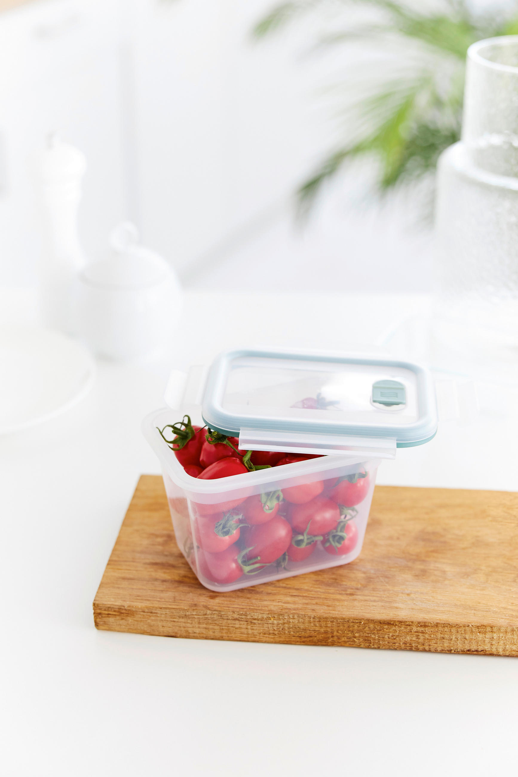 CLIPBOX 0,85 l  - Salbeigrün/Transparent, Basics, Kunststoff (12/10,8/15,6cm) - Rotho