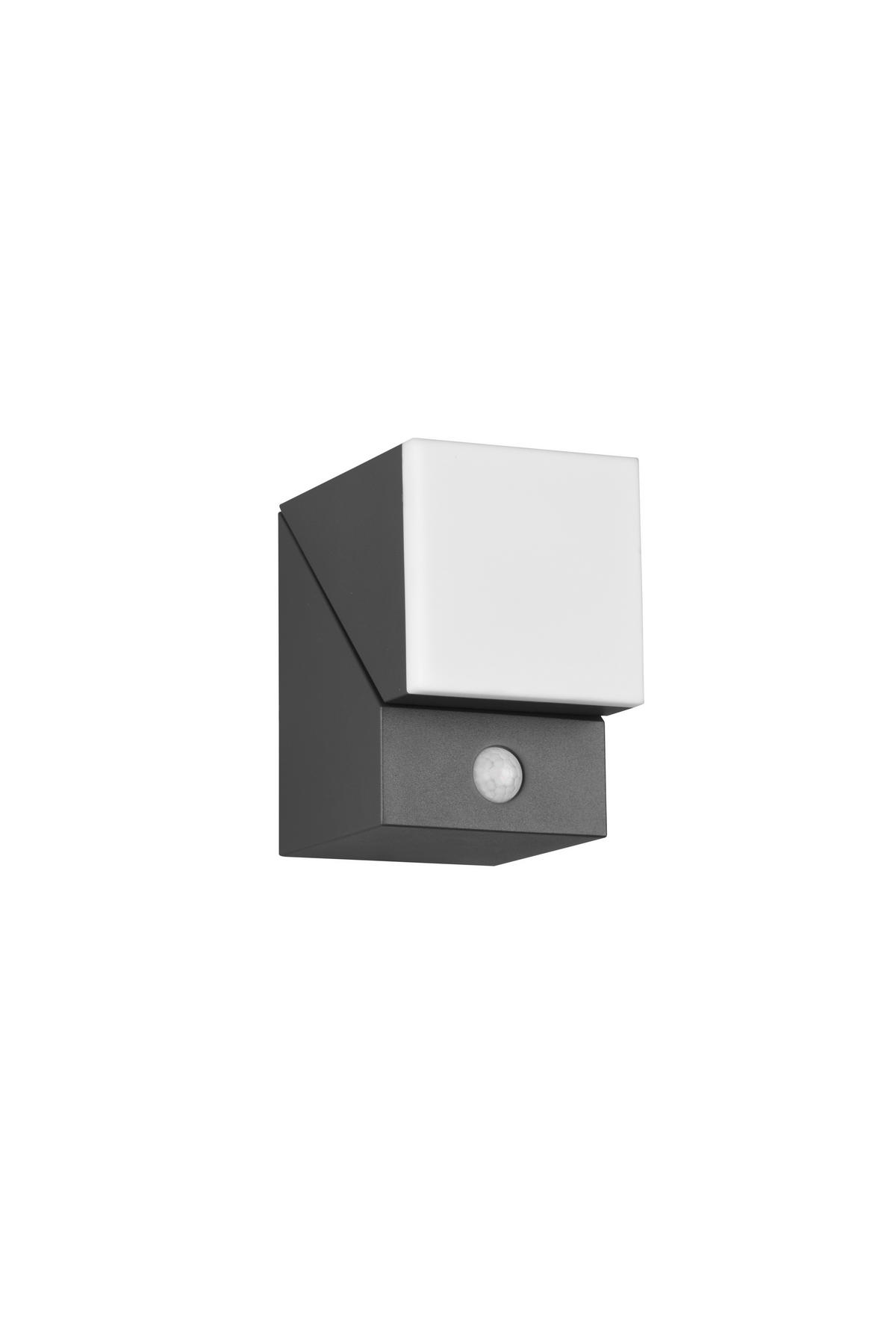 VÄGGLAMPA FÖR UTOMHUS - antracit, Basics, metall/plast (11/9/16cm) - Trio Leuchten