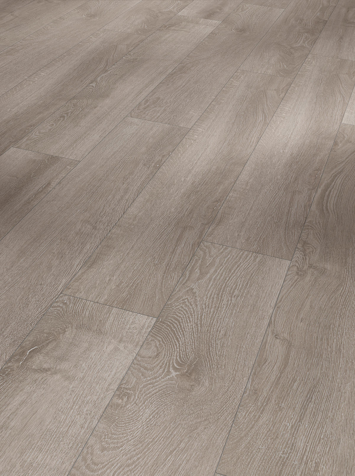 LAMINATBODEN Laminat Basic 200 4-V-Fuge  per  m² - Eichefarben, Basics, Holzwerkstoff (128.5/19.4/0.7cm) - Parador