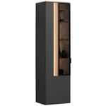 HÄNGEVITRINE in Anthrazit, Eichefarben   - Eichefarben/Anthrazit, Design, Glas/Holzwerkstoff (46/165/36cm) - Dieter Knoll