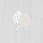 STORE per lfm  - Beige/Naturfarben, KONVENTIONELL, Textil (280cm) - Esposa