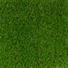 Terrassenfliese - Grün, Design, Kunststoff (30/30/2,9cm) - Ambia Garden Terrassenfliese - Grün, Design, Kunststoff (30/30/2,9cm) - Ambia Garden