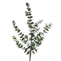 DEKORAČNÁ VETVIČKA eukalyptus 90 cm - zelená, Basics (90cm)