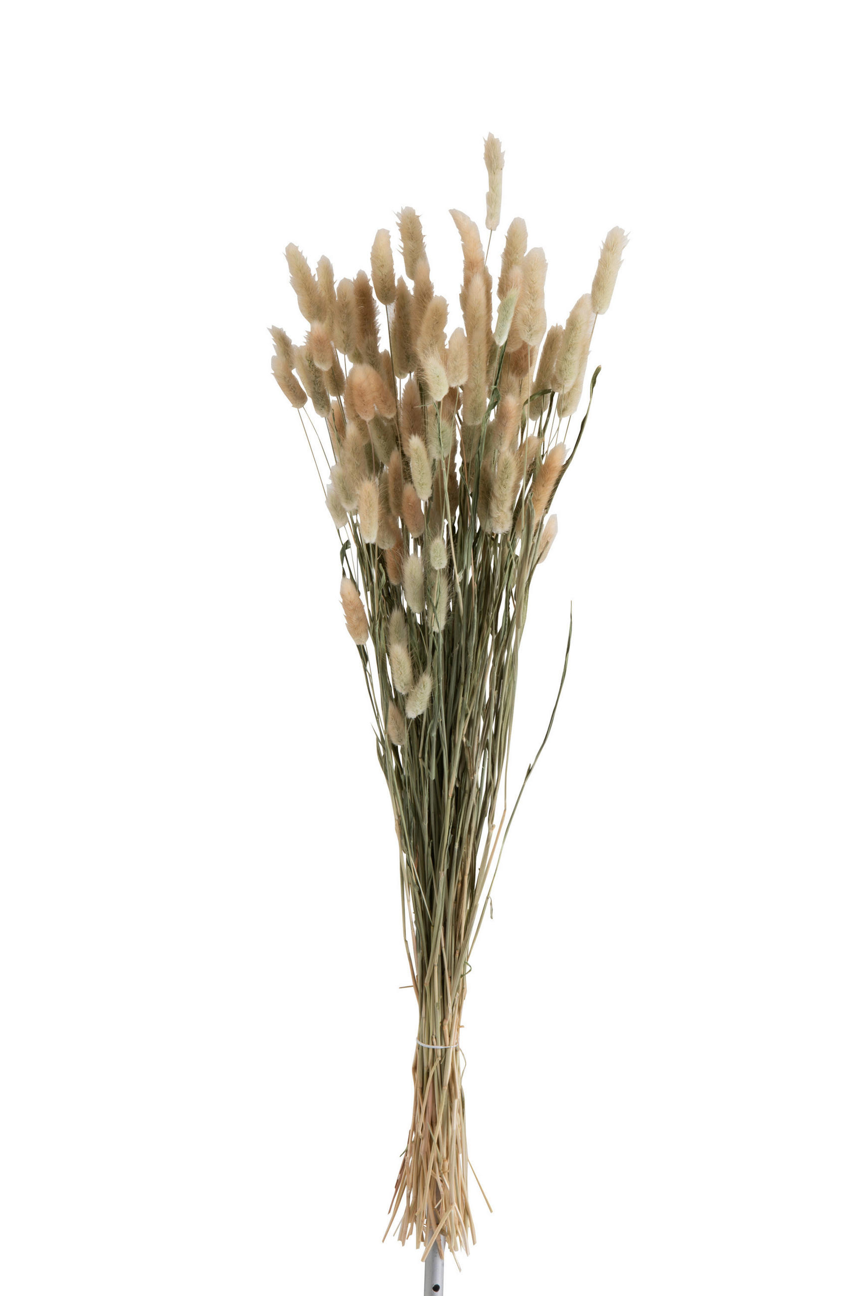 TROCKENBLUMENSTRAUß - Naturfarben, Basics, Naturmaterialien (16/16/84cm)