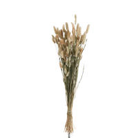 TROCKENBLUMENSTRAUß  - Naturfarben, Basics, Naturmaterialien (16/16/84cm)