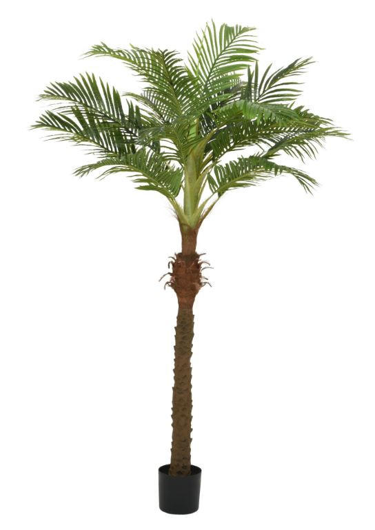 VEŠTAČKA BILJKA     110/230/90 cm         - Osnovno (110/230/90cm) - Ambia Home