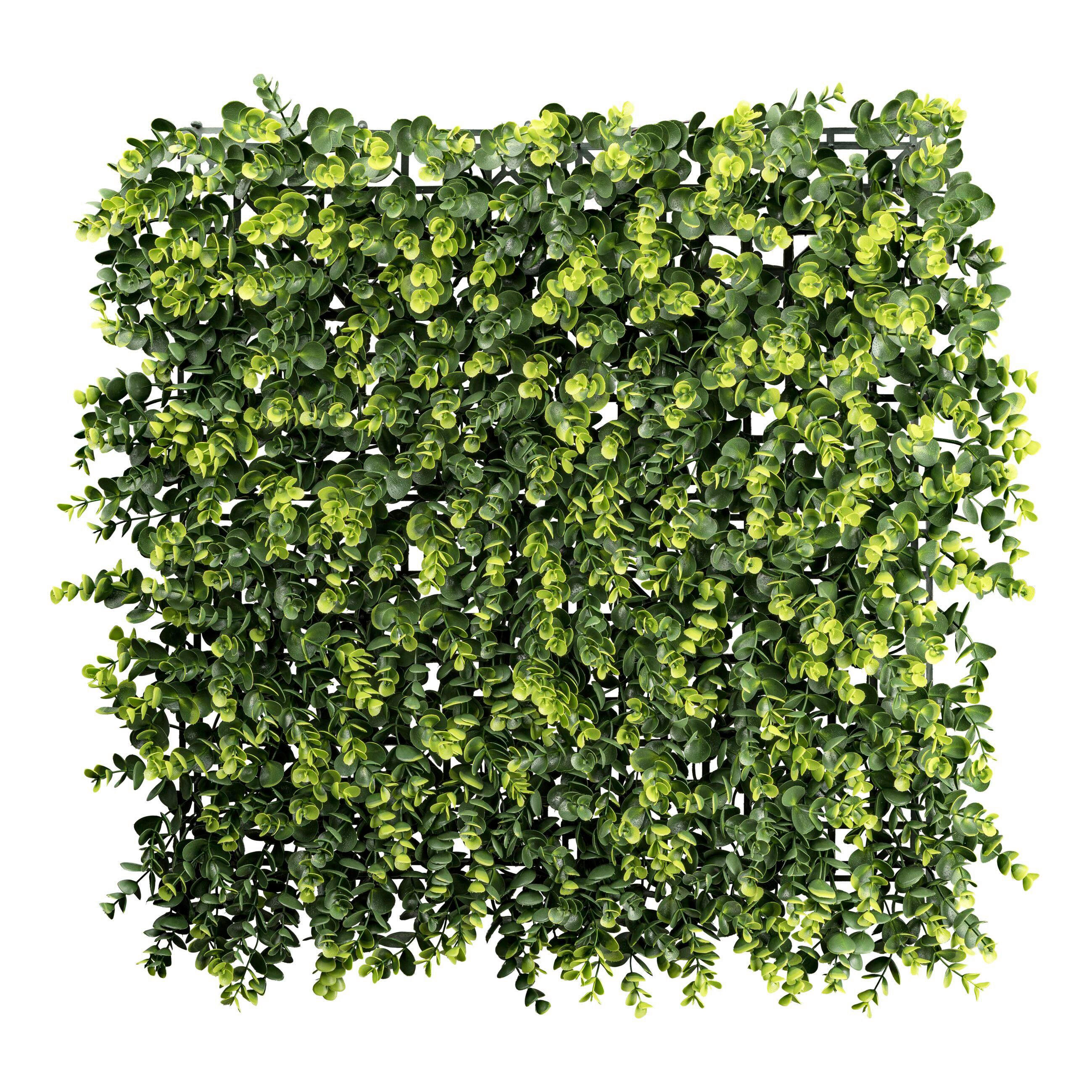 DEKOPFLANZE  - Grün, Basics, Kunststoff (50/8/50cm)