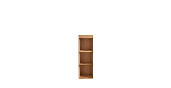 AKTENREGAL Asteiche massiv Eichefarben - Eichefarben, KONVENTIONELL, Holz (40/121/39cm) - Linea Natura