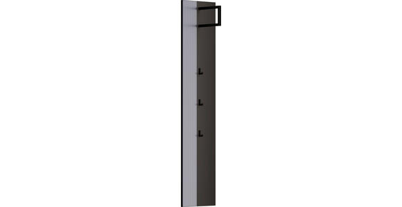 GARDEROBENPANEEL in 35/165/26 cm - Anthrazit/Grau, Design, Glas/Holzwerkstoff (35/165/26cm) - Dieter Knoll