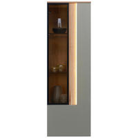 VISEČA VITRINA, furnirano barve hrasta, antracit - barve hrasta/antracit, Moderno, steklo/leseni material (45,6/139,4/36cm) - Dieter Knoll