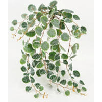 KUNSTPFLANZE 47 cm  - Grün, Kunststoff (47cm)